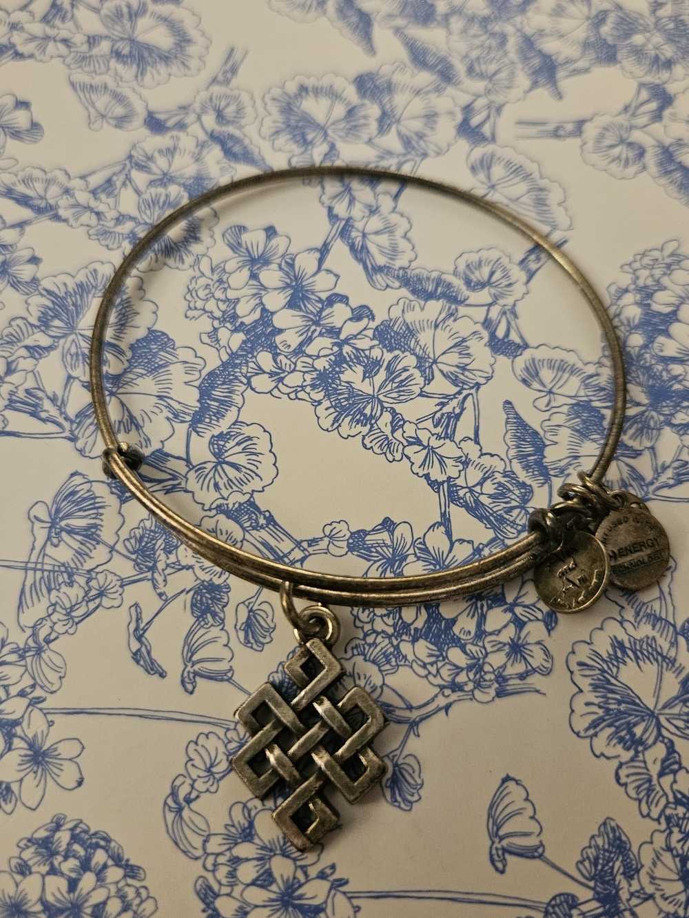 Alex and Ani Endless Knot Bracelet Silver Tone Adjustable Bangle Symbolic Charm